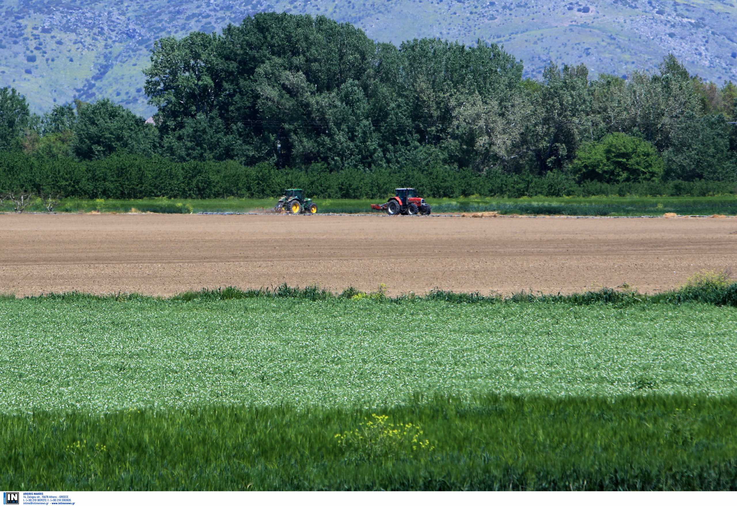 Δασικοί χάρτες: Παράταση έξι μηνών στην υποβολή αντιρρήσεων και μείωση του τέλους κατά 50%