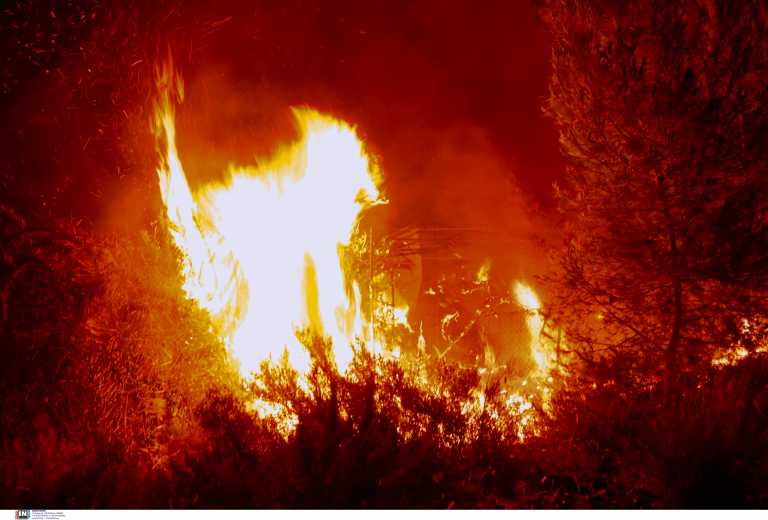 Φωτιά στα Γεράνεια Όρη – Συγκλονίζει ο Αττικάρχης της Πυροσβεστικής: Εγκλωβιστήκαμε, κάθε λεπτό φαινόταν αιώνας