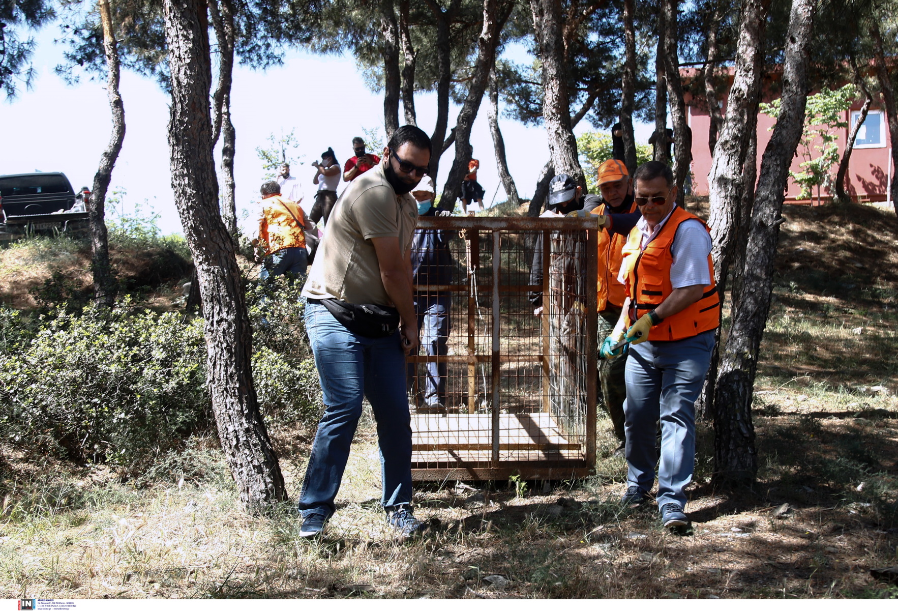 Κωδικός αγριογούρουνο στη Θεσσαλονίκη: Ιχνηλάτες, καλαμπόκι και ασύρματη κάμερα (pics)