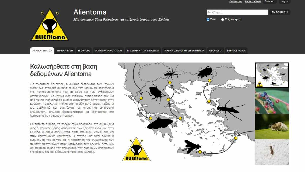 Alientoma: Αυτό το site θα σας βοηθήσει να ανακαλύψετε τα έντομα που είναι… alien