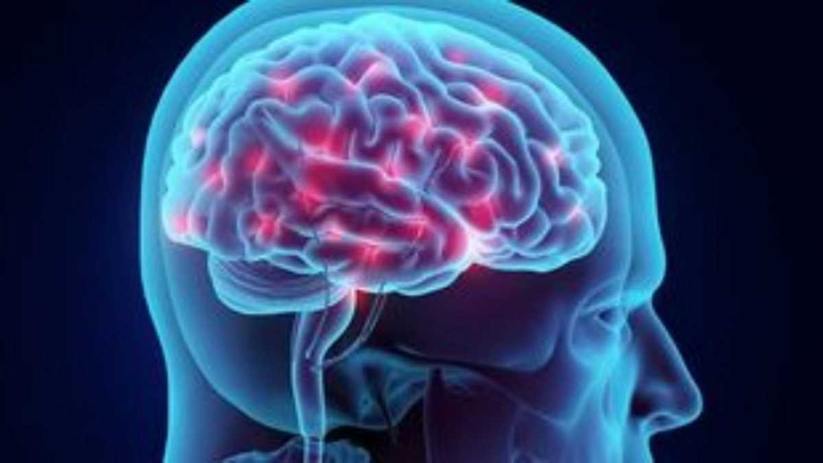 Ανακαλύφθηκαν νευρώνες τραγουδιού στον ανθρώπινο εγκέφαλο
