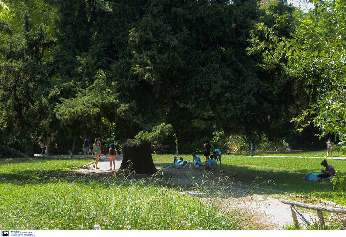 Έρευνα για τη χρήση και την ποιότητα των χώρων πρασίνου στο πολεοδομικό συγκρότημα της Αθήνας