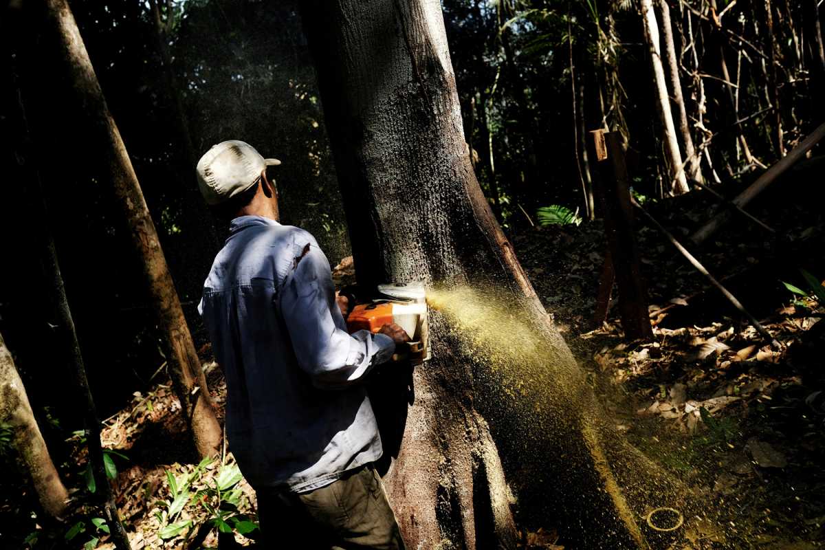 Σάλος στη Βραζιλία: Ο υπουργός Περιβάλλοντος είναι ύποπτος για λαθρεμπόριο ξυλείας