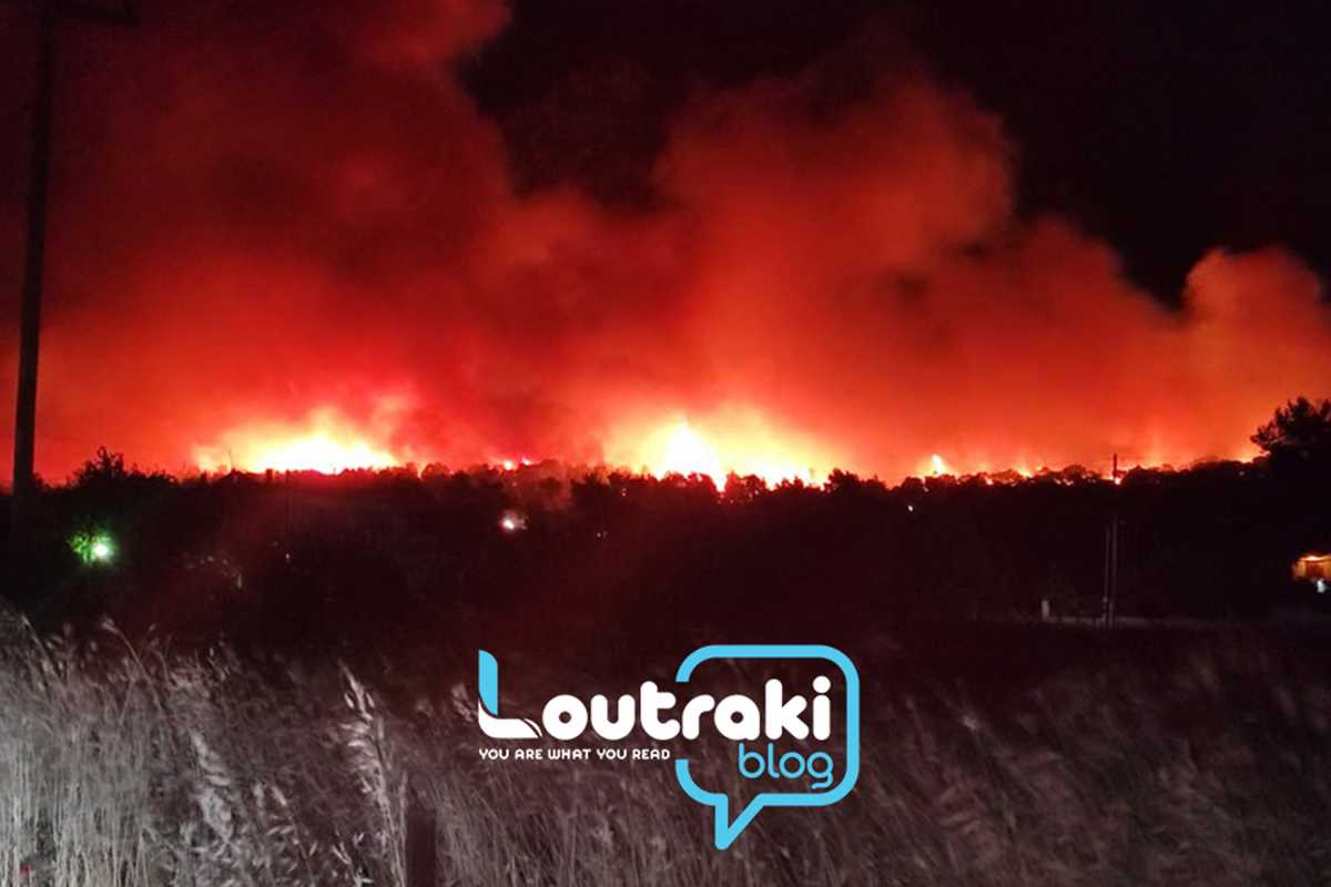 Φωτιά στο Σχίνο Κορινθίας: Δύσκολη νύχτα – Ενισχύσεις από Αττική και Πελοπόννησο (pics, video)