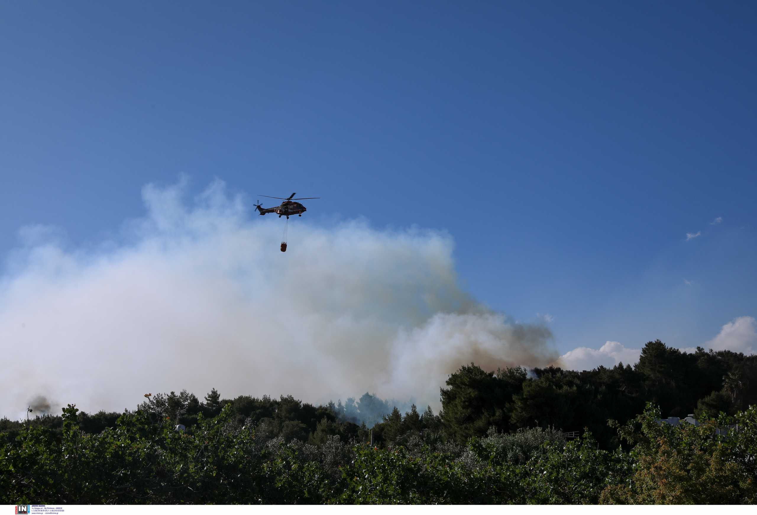 Φωτιά και στη Θήβα – Ρίψεις νερού από δύο αεροπλάνα και ένα ελικόπτερο