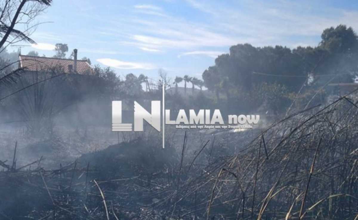 Φωτιά κοντά σε σπίτια στην Τραγάνα Φθιώτιδας (pics, video)