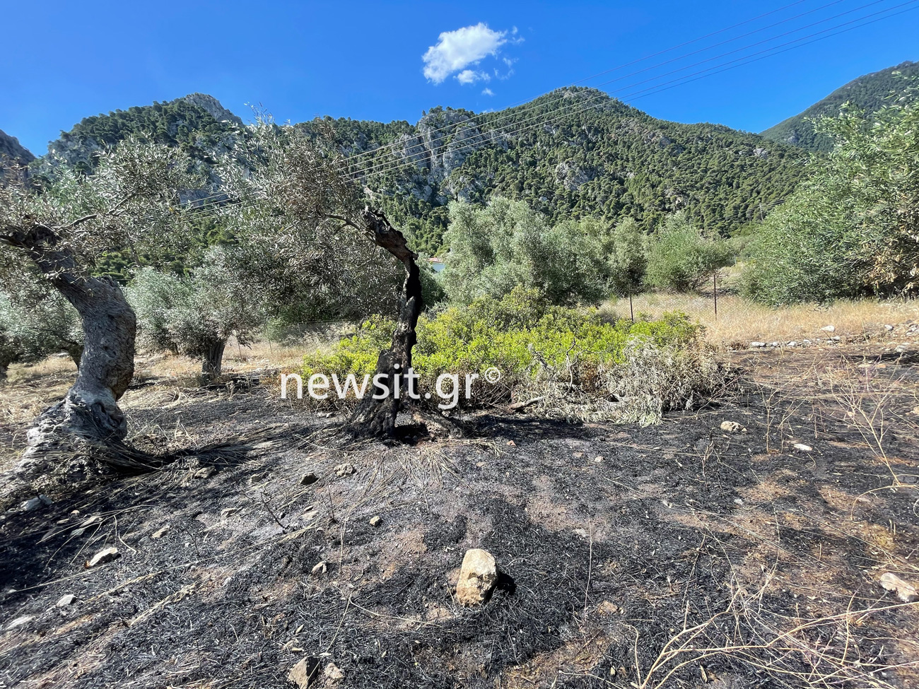 Φωτιά στην Κορινθία: Από εδώ ξεκίνησαν όλα (pics)