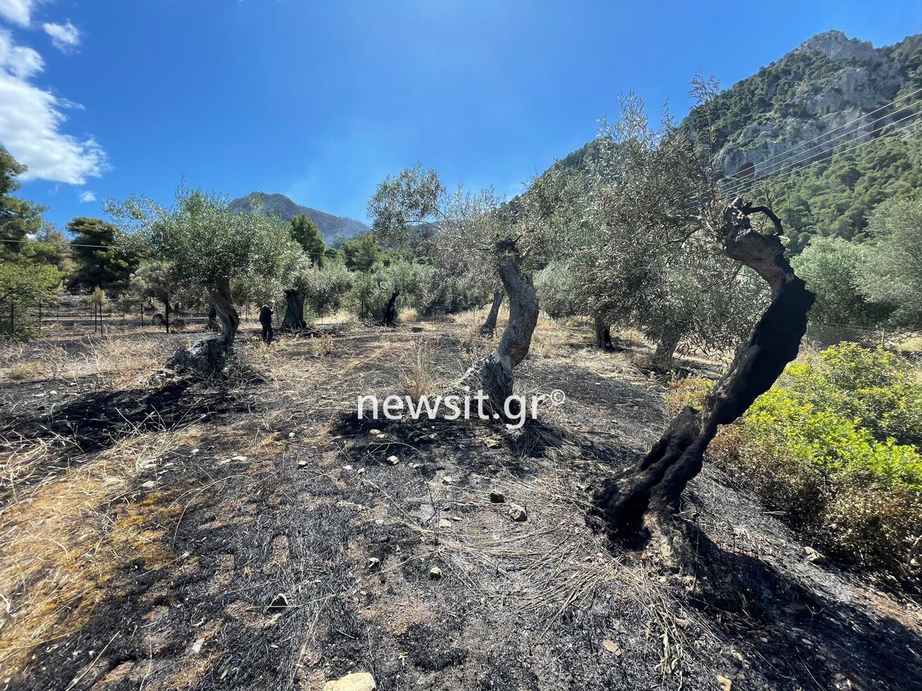 Θεσσαλονίκη: Φοιτητές προχώρησαν ένα βήμα μπροστά – Το σύστημα έγκαιρου εντοπισμού πυρκαγιάς