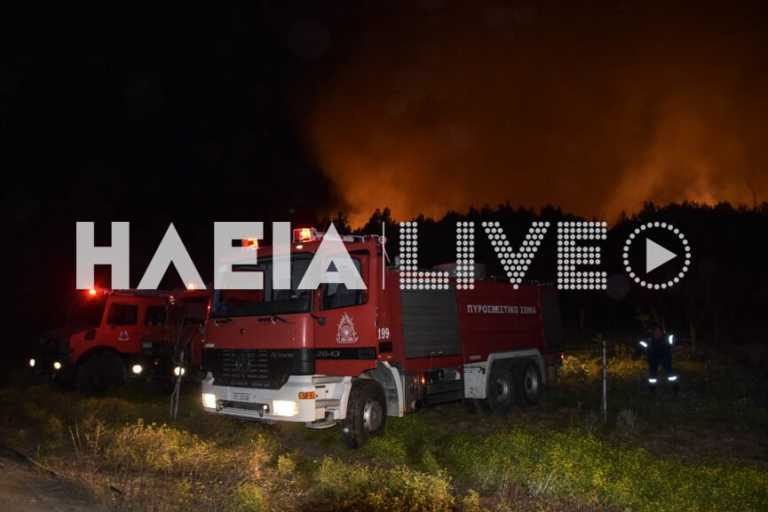 Ηλεία: Οριοθετήθηκε η μεγάλη πυρκαγιά στη Σμέρνα
