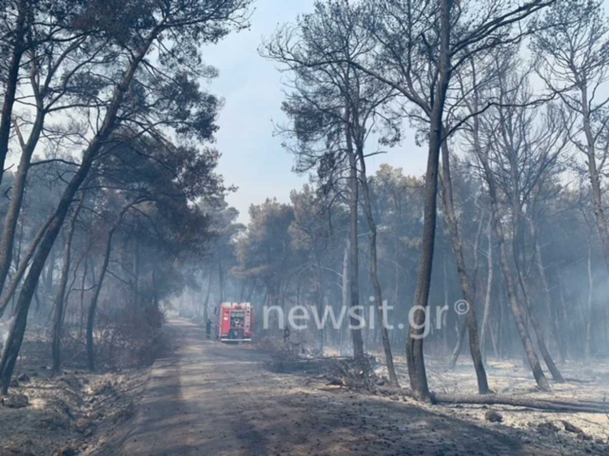 Φωτιά στο Αλεποχώρι: Η πρώτη αυτοψία μετά την καταστροφή – Σπεύδει κυβερνητικό κλιμάκιο