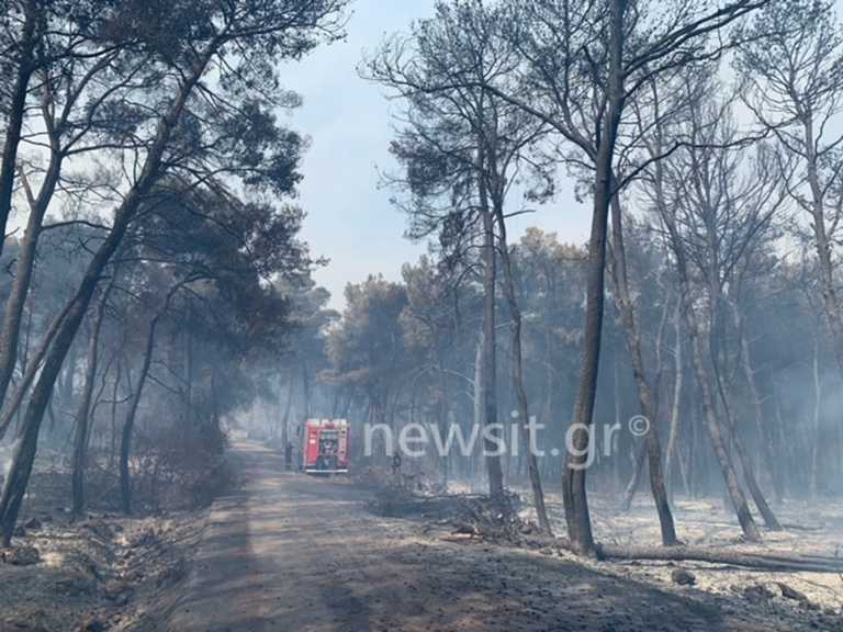 Study for the fire in Schino: How much is the risk of floods in Alepochori and the surrounding areas