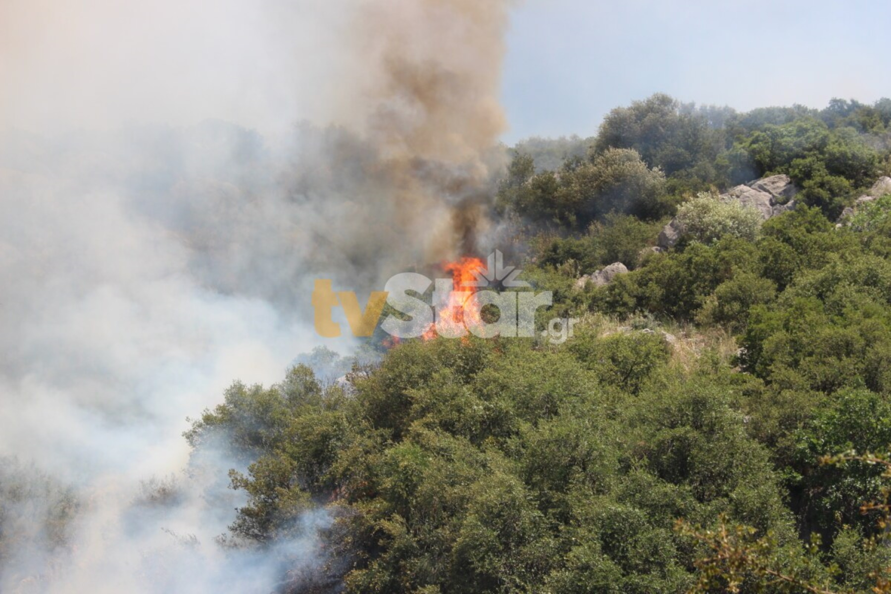 Φωτιά στη Βοιωτία