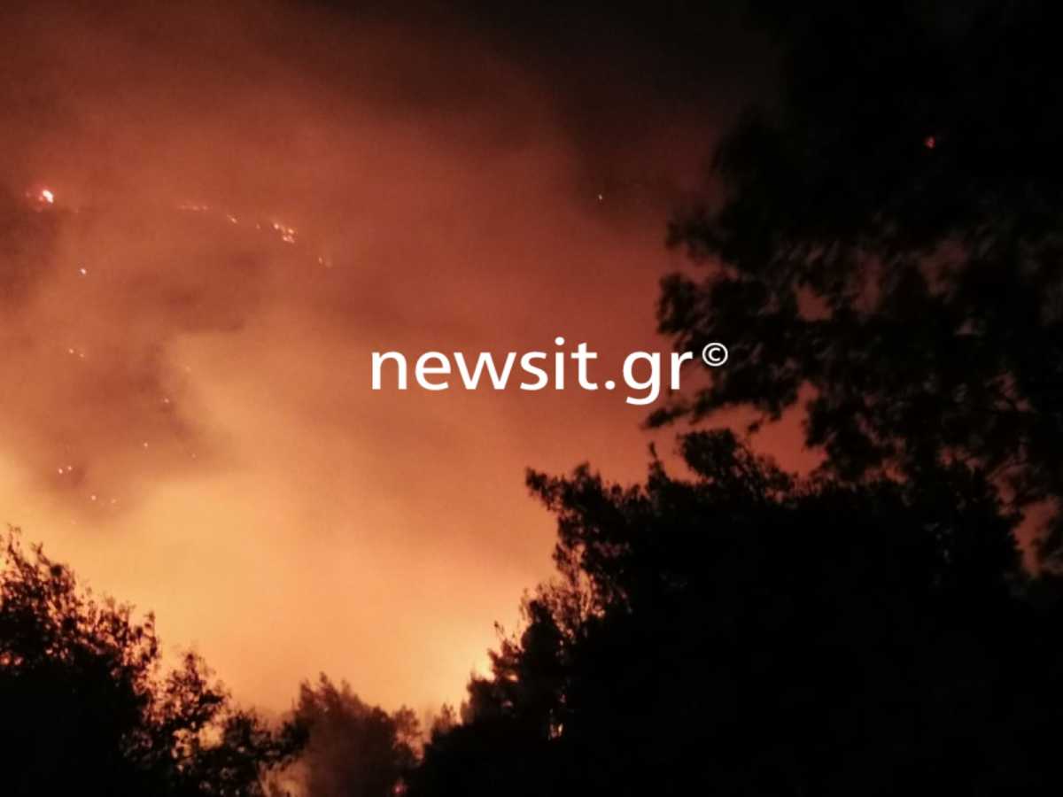 Φωτιά στο Σχίνο: Εκκενώνονται και άλλοι οικισμοί – Νέο μήνυμα από το 112