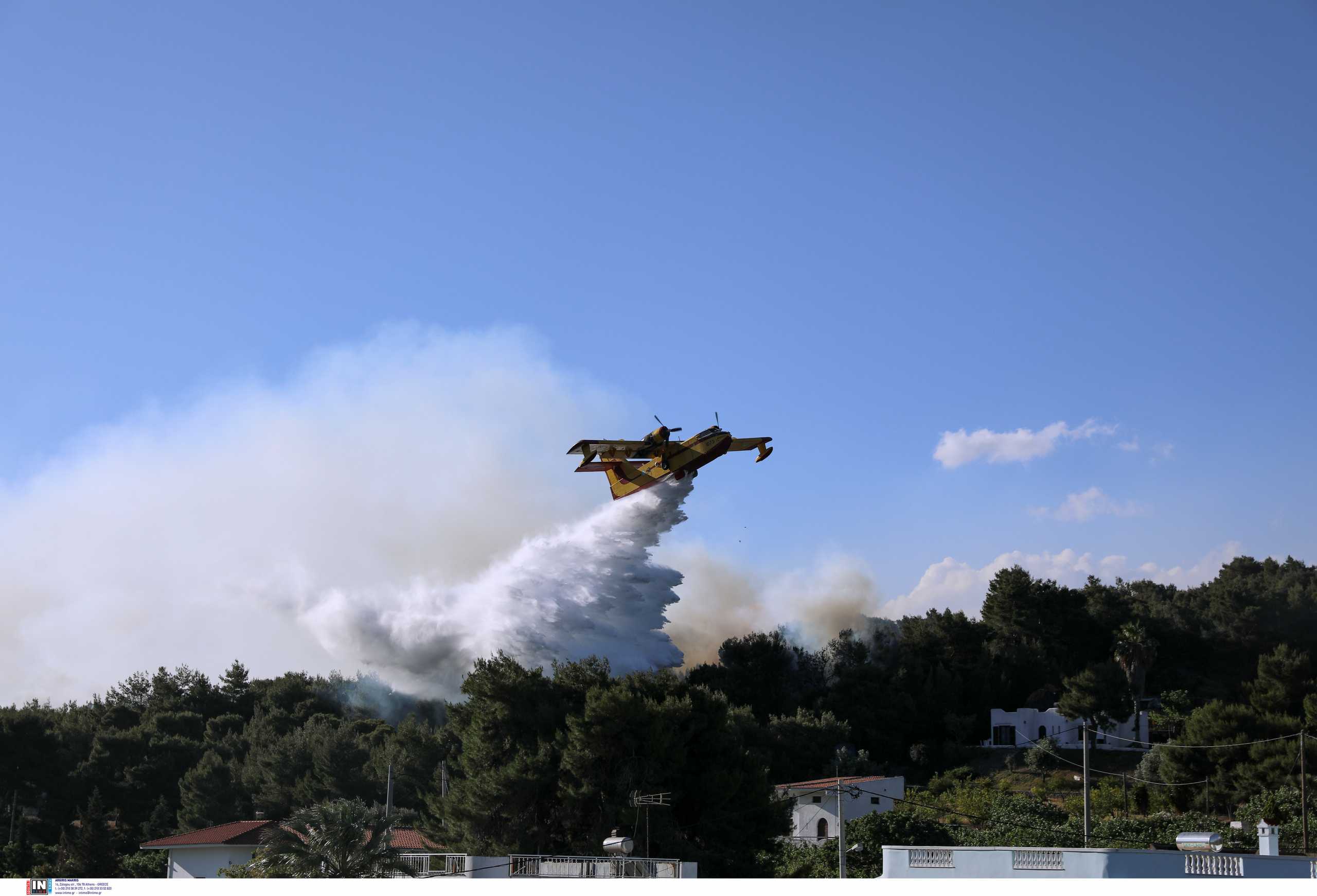 Φωτιά στα Μέγαρα: Συνεχίζεται η μάχη με τις φλόγες – «Δεν ξεκίνησε από αμέλεια η πυρκαγιά»