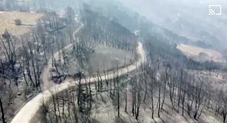 Φωτιά σε Κορινθία και Δυτική Αττική: Πάνω από 71.000 στρέμματα έγιναν στάχτη – Εικόνες απόλυτης καταστροφής από drone