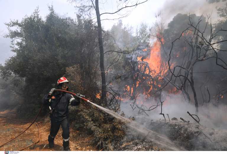 Φωτιά στα Μέγαρα: Εκκενώθηκαν οι οικισμοί Παπαγιαννέϊκα και Καλκάνι