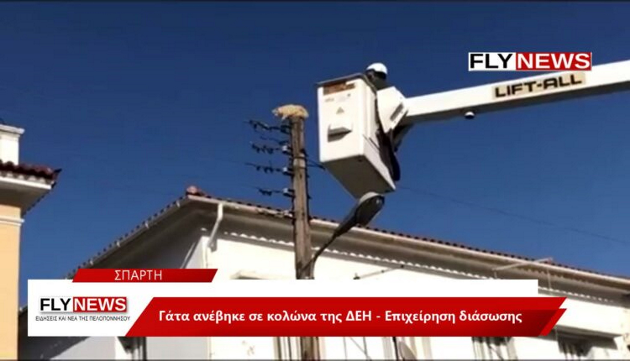 Σπάρτη: Απίστευτο βίντεο με διάσωση γάτας από κολόνα της ΔΕΗ