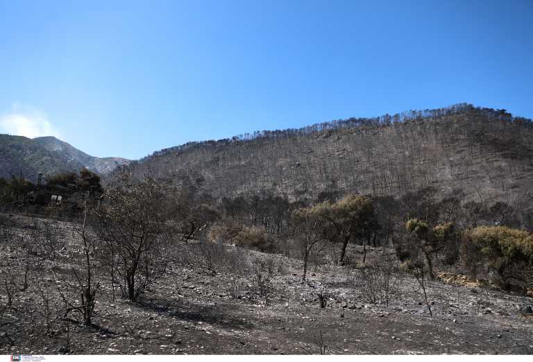 Γεράνεια Όρη: «Μαύρισε» τα πάντα η φωτιά - Η μεγαλύτερη δασική καταστροφή της τελευταίας 10ετίας! Στοιχεία που σοκάρουν