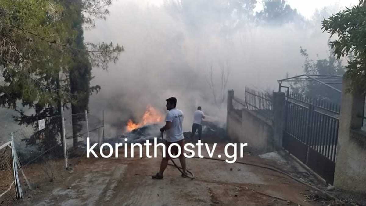 Φωτιά στα Ίσθμια: Οι φλόγες πέρασαν μέσα από τις αυλές των σπιτιών (pics, video)