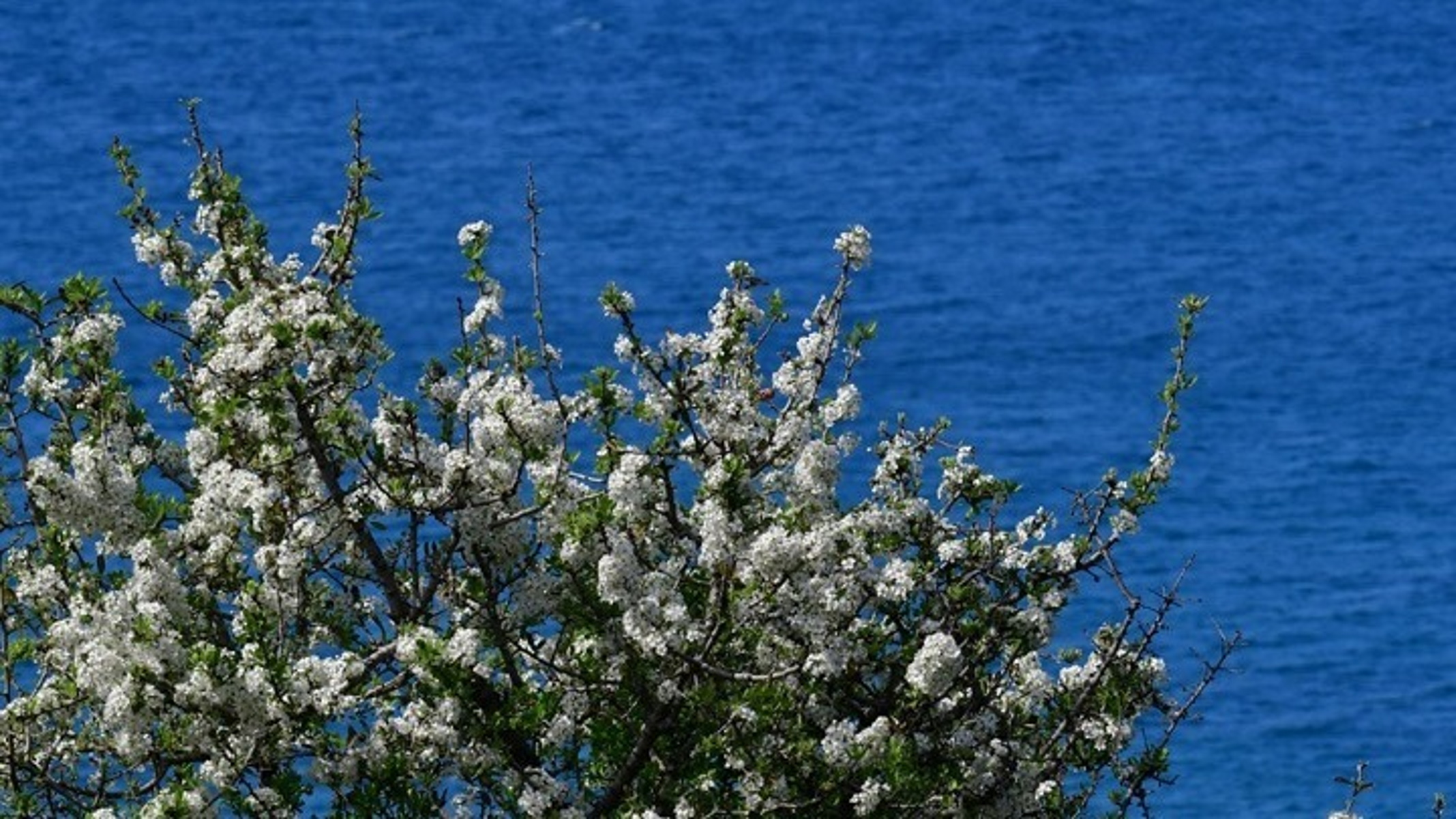 Καιρός σήμερα: Ηλιοφάνεια στις περισσότερες περιοχές – Αναλυτική πρόγνωση