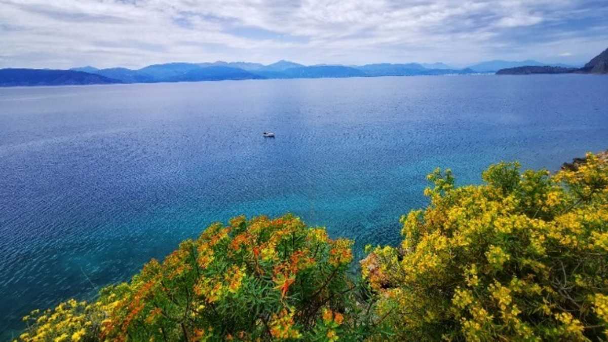 Καιρός σήμερα: Ξεπερνά τους 30 βαθμούς η θερμοκρασία – Αναλυτική πρόγνωση