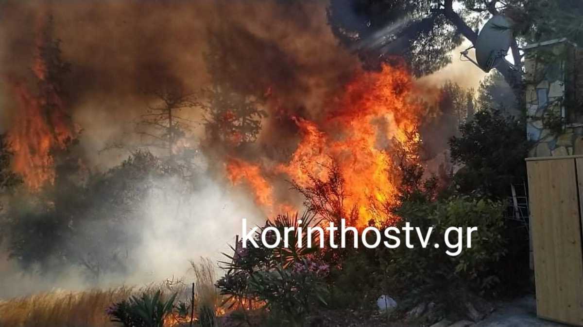 Μεγάλη φωτιά απειλεί σπίτια στα Ίσθμια Κορινθίας (pics, vid)