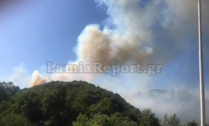 Φωτιά στη Μακρακώμη: Μάχη με τις φλόγες στην εθνική οδό Λαμίας – Καρπενησίου, κινδύνευαν σπίτια (pics, video)