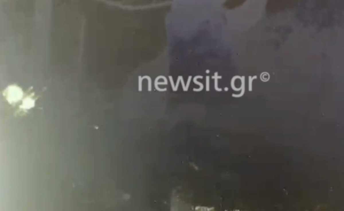 Επεισοδιακή σύλληψη των διαρρηκτών που είχαν κάνει κόλαση τη ζωή του Νίκου Ξανθόπουλου – Βίντεο ντοκουμέντο