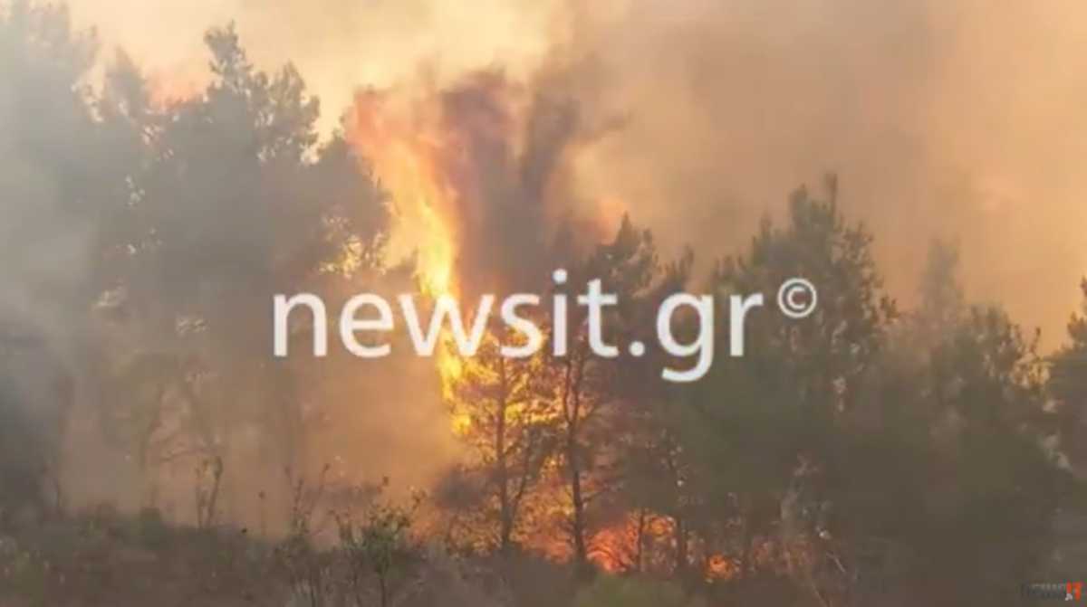 Φωτιά στα Μέγαρα: «Μάχη» με τις συνεχείς αναζωπυρώσεις