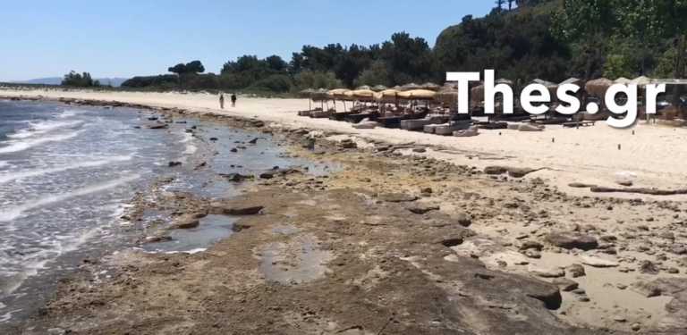 Χαλκιδική: Πήγαν για μπάνιο αλλά έλειπε η θάλασσα – Δείτε τις εικόνες της ημέρας στην Άφυτο (video)