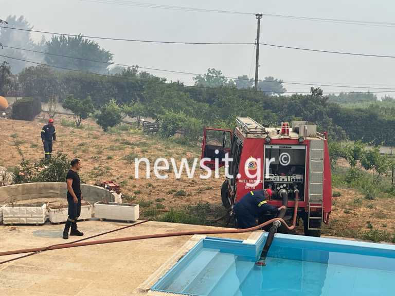 Φωτιά στον Σχίνο: Η στιγμή που πυροσβέστες παίρνουν νερό από πισίνα εξοχικού για να συνεχίσουν (pics, video)
