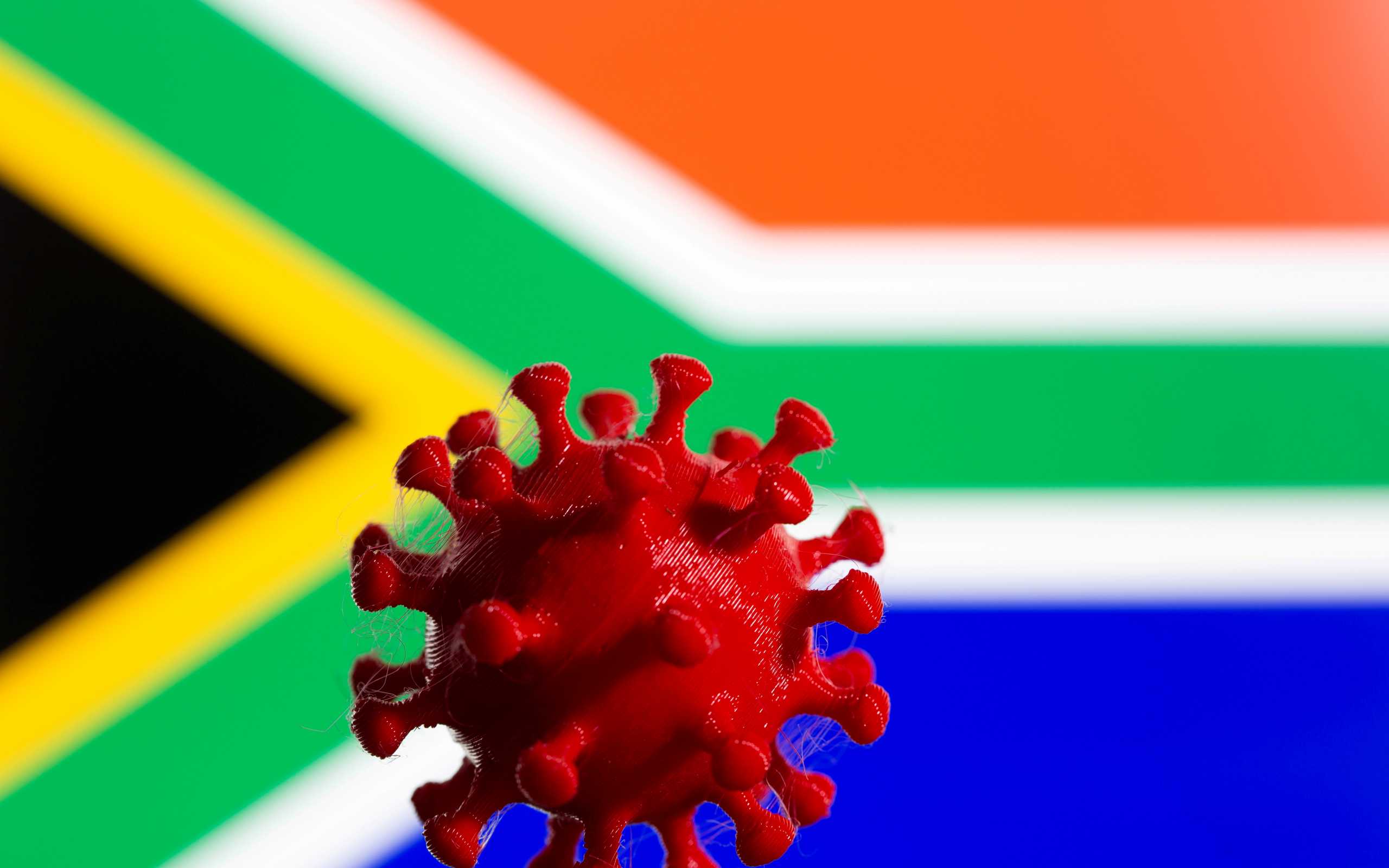 FILE PHOTO: 3D-printed coronavirus model is seen in front of displayed South Africa flag in this illustration taken, February 9, 2021. REUTERS