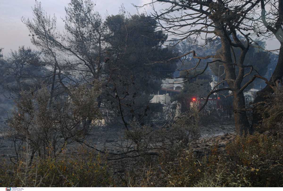 Φωτιά στα Γεράνεια Όρη: Σε ύφεση με διάσπαρτες εστίες – Τι λέει η Πυροσβεστική