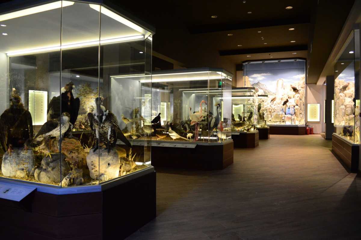 «Χρυσό» το Μουσείο Φυσικής Ιστορίας Μετεώρων και Μουσείο Μανιταριών