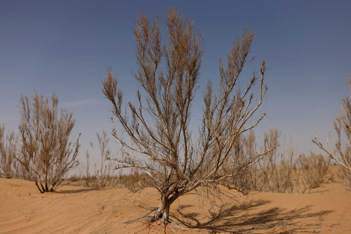 Κλιματική αλλαγή: Ρεκόρ θερμότητας τα τελευταία 7 χρόνια– «Σε αχαρτογράφητο έδαφος» βαδίζει ο πλανήτης