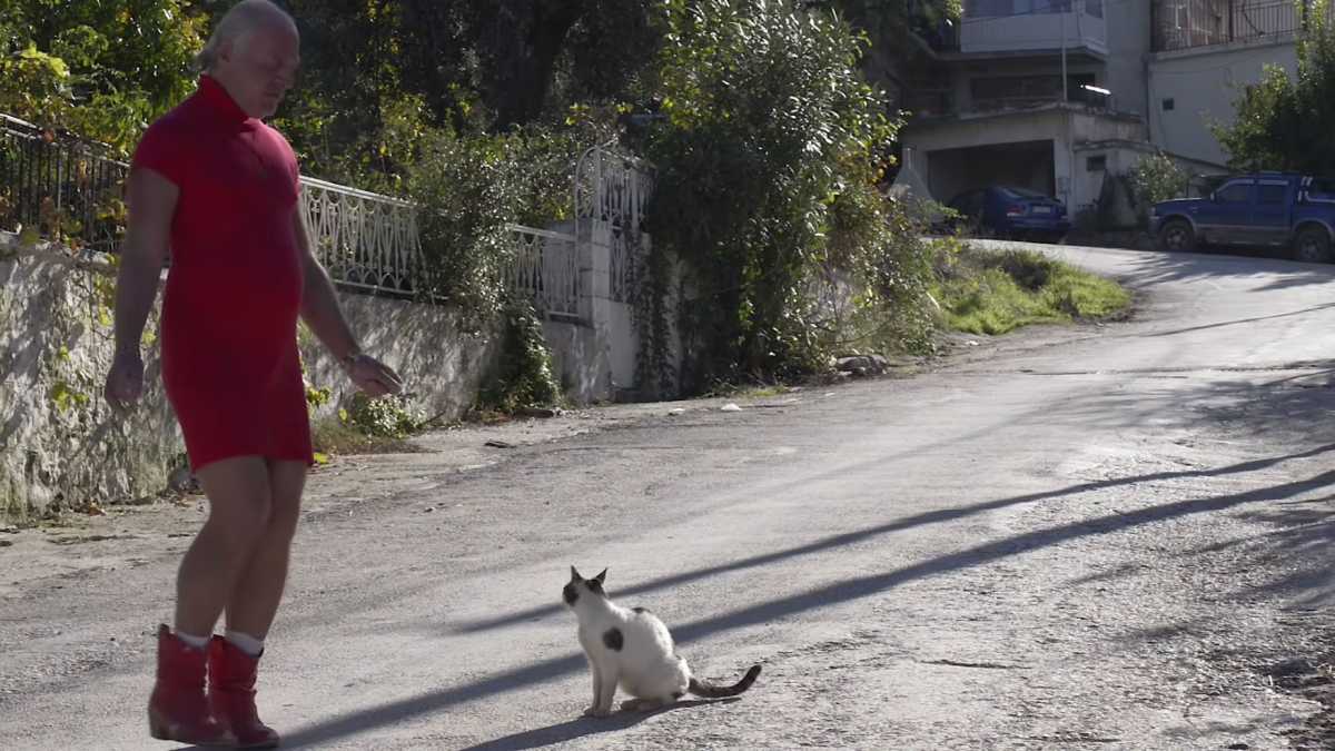 Θρίλερ με την Δημήτρη της Λέσβου: Φόβοι πως έπεσε θύμα τροχαίου – Βαλλιανάτος: «Αναγνωρίστηκε η σορός»