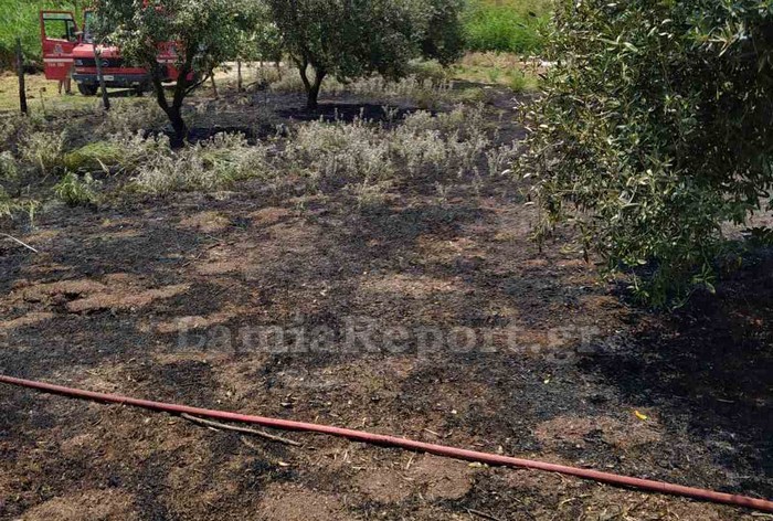 Φθιώτιδα: Αυτοψία στο αγρόκτημα που τυλίχθηκε στις φλόγες – Σε χρόνο ρεκόρ οι Πυροσβέστες