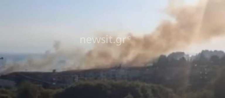 Θεσσαλονίκη: Υπό έλεγχο η μεγάλη φωτιά κοντά σε σπίτια στο Πανόραμα
