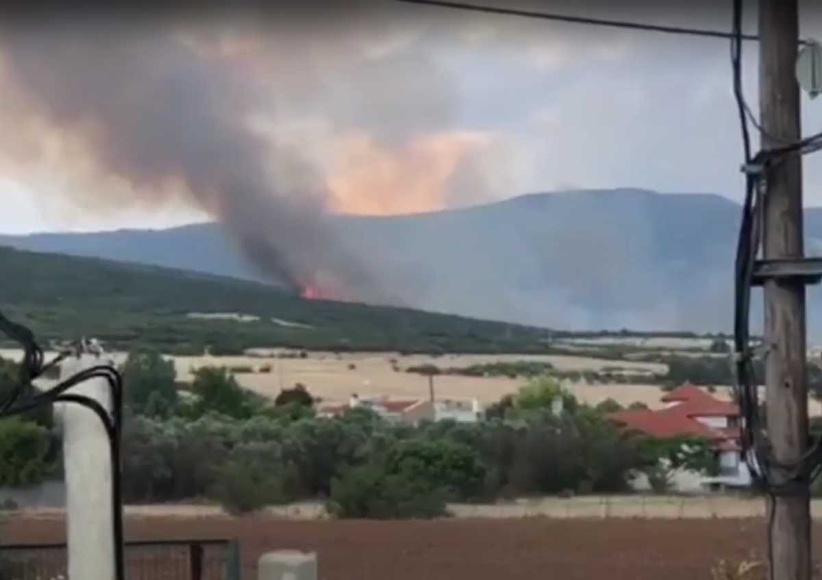 Θεσσαλονίκη: Μεγάλη φωτιά στη Θέρμη