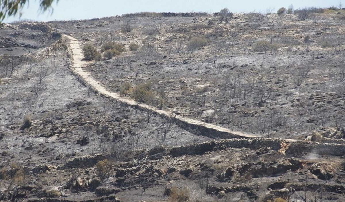 Φωτιά στην Πάρο: Κρανίου τόπος – Στάχτη και αποκαΐδια άφησε η πύρινη λαίλαπα (video)