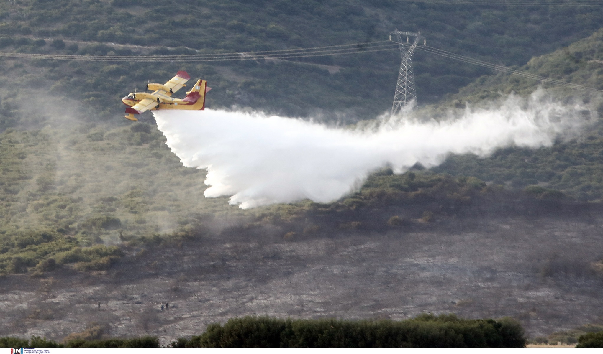 Λαμία: Φωτιά σε δασική έκταση στην Καμηλόβρυση