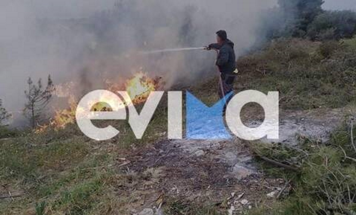 Φωτιά στην Εύβοια: Δύο τα πύρινα μέτωπα