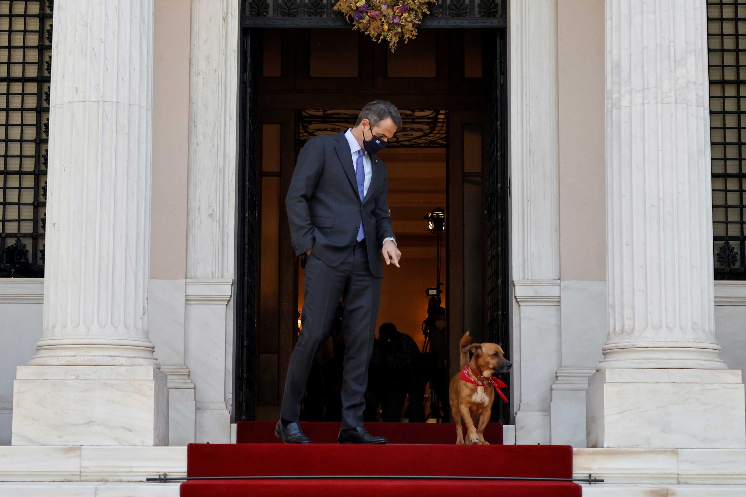 Greek Prime Minister Kyriakos Mitsotakis and his dog Peanut wait for the arrival of European Council President Charles Michel at the Maximos Mansion in Athens, Greece, May 28, 2021. REUTERS