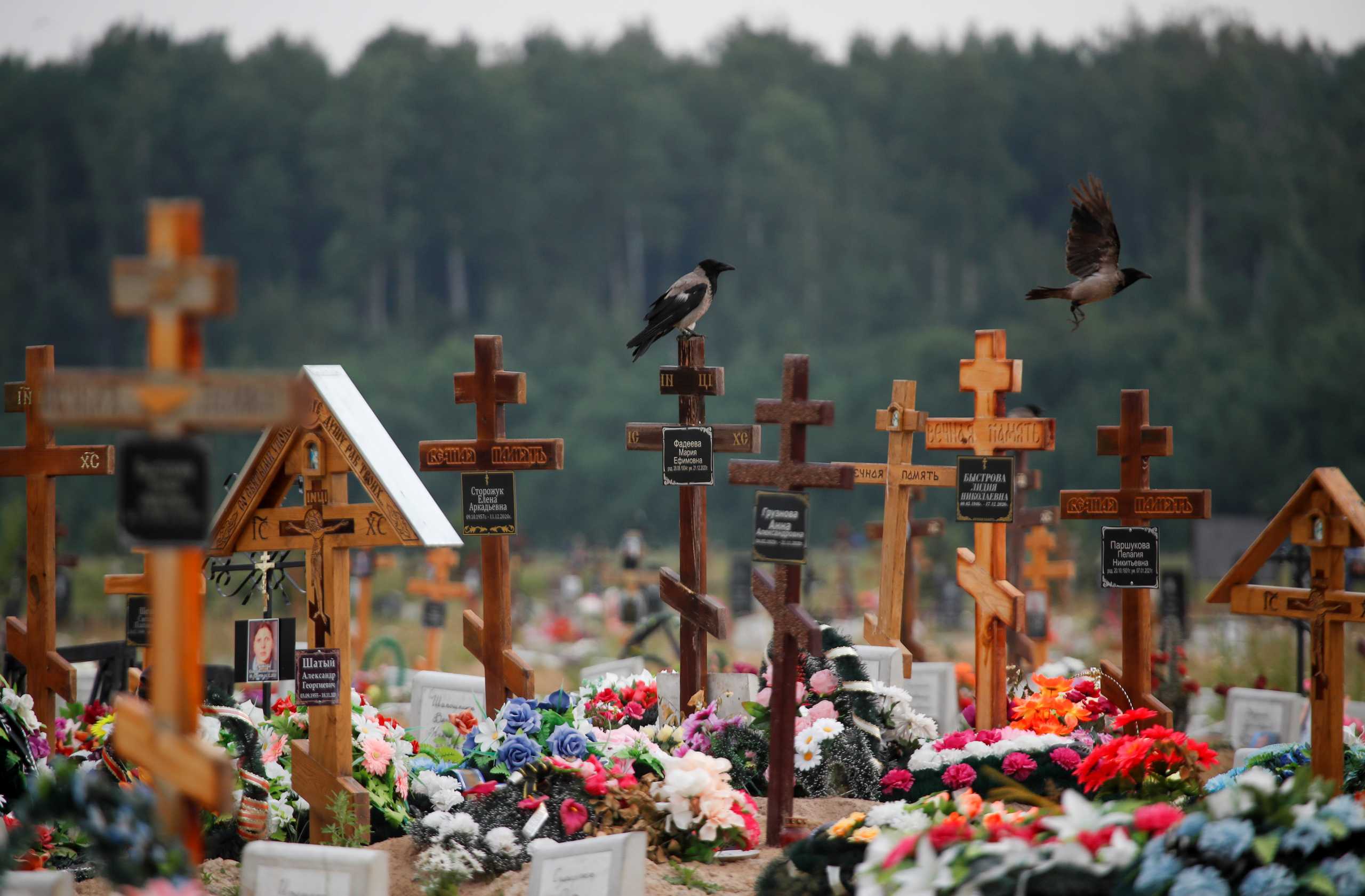 Birds are seen at the special purpose section of a graveyard for the coronavirus disease (COVID-19) victims on the outskirts of Saint Petersburg, Russia June 25, 2021. REUTERS