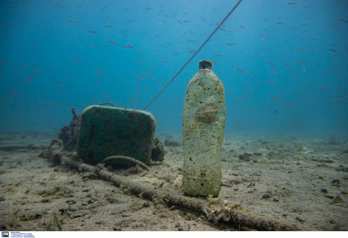 »·Î‹ÛÛÈ· ·ÔÒÒﬂÏÏ·Ù· ÂﬂÌ·È Ù· ·ÌÙÈÍÂﬂÏÂÌ· Ù· ÔÔﬂ· ›˜ÔıÌ Í·Ù·ÛÍÂı·ÛÙÂﬂ ﬁ ˜ÒÁÛÈÏÔÔÈÁËÂﬂ
·¸ ÙÔÌ ‹ÌËÒ˘Ô Í·È ›˜ÔıÌ ÂÛÍÂÏÏ›Ì· ﬁ ·ÍÔ˝ÛÈ· ·ˆÂËÂﬂ ÛÙÈÚ Ë‹Î·ÛÛÂÚ Í·È ÙÈÚ ·ÍÙ›Ú. ∏˜ÂÈ
ıÔÎÔ„ÈÛÙÂﬂ ˘Ú ·¸ Ù· ·ÔÒÒﬂÏÏ·Ù· Ôı ‚ÒﬂÛÍÔÌÙ·È ÛÙÈÚ Ë‹Î·ÛÛÂÚ ÙÔ 70% ›˜ÔıÌ Í·Ù·ÎﬁÓÂÈ
ÛÙÔ ‚ıË¸.‘· Ë·Î‹ÛÛÈ· ·ÔÒÒﬂÏÏ·Ù· ·ÔÙÂÎÔ˝ÌÙ·È ·¸ Í·Ù·ÛÍÂı·ÛÏ›Ì· ﬁ ÂÂÓÂÒ„·ÛÏ›Ì·
ÛÙÂÒÂ‹ ıÎÈÍ‹ (.˜. Î·ÛÙÈÍ¸, „ı·Îﬂ, Ï›Ù·ÎÎÔ Í·È Ó˝ÎÔ), Ù· ÔÔﬂ· Í·Ù·Îﬁ„ÔıÌ ÛÙÔ Ë·Î‹ÛÛÈÔ
ÂÒÈ‚‹ÎÎÔÌ.  ‹ËÂ ˜Ò¸ÌÔ ÂË·ﬂÌÔıÌ Î¸„˘ Ù˘Ì Î·ÛÙÈÍ˛Ì ÛÍÔıÈ‰È˛Ì ‹Ì˘ ·¸ 1 ÂÍ·Ù.
Ë·Î·ÛÛÔÔ˝ÎÈ· Í·È 100 ˜ÈÎÈ‹‰ÂÚ Ë·Î‹ÛÛÈÂÚ ˜ÂÎ˛ÌÂÚ Í·È Ë·Î‹ÛÛÈ· ËÁÎ·ÛÙÈÍ‹ ¸˘Ú Í·È ·¸ ÙÔ
„ı·Îﬂ, ÙÔ ÔÔﬂÔ Û˝Ïˆ˘Ì· ÏÂ ›ÒÂıÌÂÚ ÏÔÒÂﬂ Ì· Í‹ÌÂÈ Ì· ‰È·Û·ÛÙÂﬂ ‹Ì˘ ·¸ 2.000 ˜Ò¸ÌÈ·.
ÃÈ· ›ÒÂıÌ· Ôı ‰ÈÂÓﬁ˜ËÁ ·¸ ÙÁÌ Algalita, ·Ì·Í‹Îı¯Â ÙÔ 2004 ¸ÙÈ Ù· ‰Âﬂ„Ï·Ù· Ë·Î‹ÛÛÈÔı
ÌÂÒÔ˝ ÂÒÈÂﬂ˜·Ì ›ÓÈ ˆÔÒ›Ú ÂÒÈÛÛ¸ÙÂÒÔ Î·ÛÙÈÍ¸ ·Ò‹ Î·„ÍÙ¸Ì.