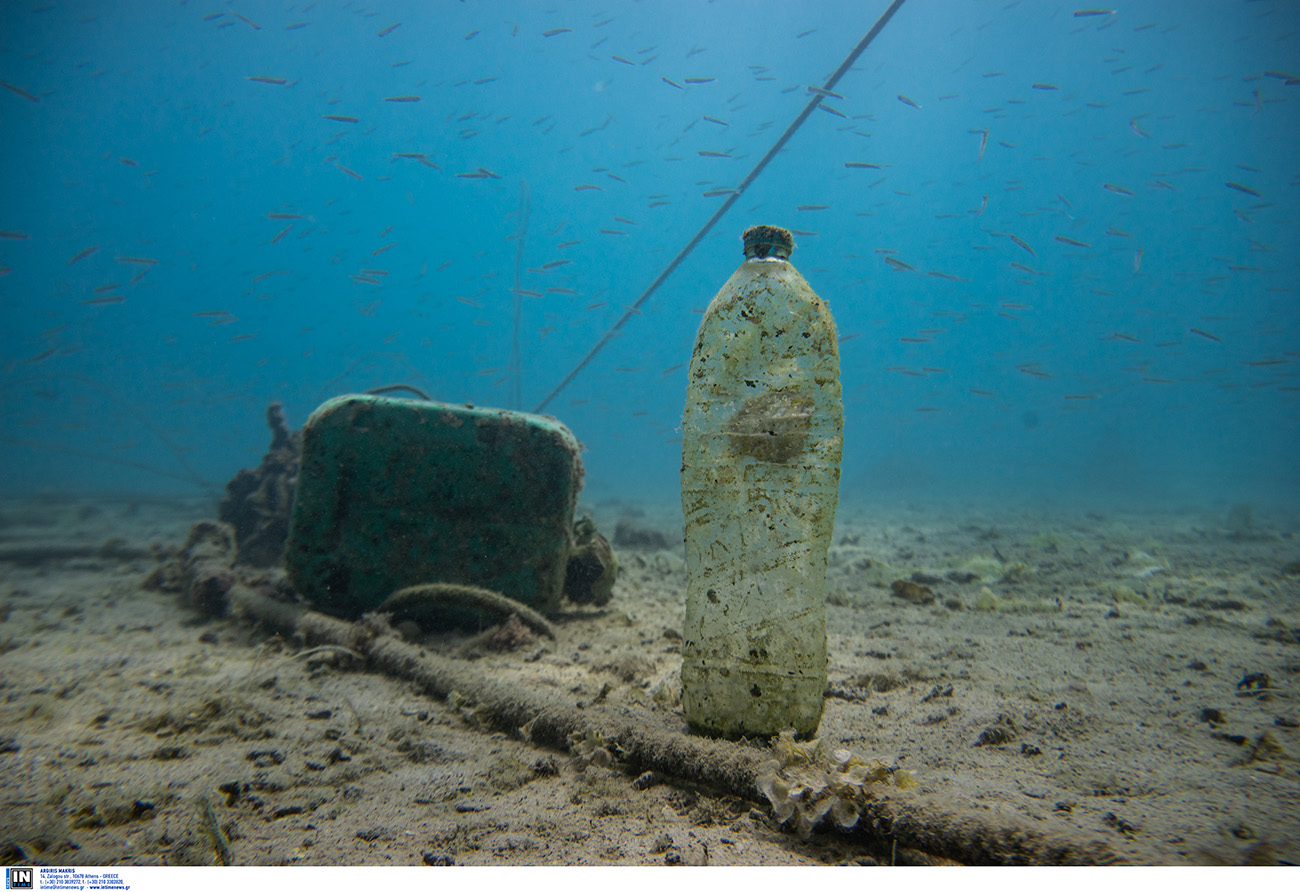 »·Î‹ÛÛÈ· ·ÔÒÒﬂÏÏ·Ù· ÂﬂÌ·È Ù· ·ÌÙÈÍÂﬂÏÂÌ· Ù· ÔÔﬂ· ›˜ÔıÌ Í·Ù·ÛÍÂı·ÛÙÂﬂ ﬁ ˜ÒÁÛÈÏÔÔÈÁËÂﬂ
·¸ ÙÔÌ ‹ÌËÒ˘Ô Í·È ›˜ÔıÌ ÂÛÍÂÏÏ›Ì· ﬁ ·ÍÔ˝ÛÈ· ·ˆÂËÂﬂ ÛÙÈÚ Ë‹Î·ÛÛÂÚ Í·È ÙÈÚ ·ÍÙ›Ú. ∏˜ÂÈ
ıÔÎÔ„ÈÛÙÂﬂ ˘Ú ·¸ Ù· ·ÔÒÒﬂÏÏ·Ù· Ôı ‚ÒﬂÛÍÔÌÙ·È ÛÙÈÚ Ë‹Î·ÛÛÂÚ ÙÔ 70% ›˜ÔıÌ Í·Ù·ÎﬁÓÂÈ
ÛÙÔ ‚ıË¸.‘· Ë·Î‹ÛÛÈ· ·ÔÒÒﬂÏÏ·Ù· ·ÔÙÂÎÔ˝ÌÙ·È ·¸ Í·Ù·ÛÍÂı·ÛÏ›Ì· ﬁ ÂÂÓÂÒ„·ÛÏ›Ì·
ÛÙÂÒÂ‹ ıÎÈÍ‹ (.˜. Î·ÛÙÈÍ¸, „ı·Îﬂ, Ï›Ù·ÎÎÔ Í·È Ó˝ÎÔ), Ù· ÔÔﬂ· Í·Ù·Îﬁ„ÔıÌ ÛÙÔ Ë·Î‹ÛÛÈÔ
ÂÒÈ‚‹ÎÎÔÌ.  ‹ËÂ ˜Ò¸ÌÔ ÂË·ﬂÌÔıÌ Î¸„˘ Ù˘Ì Î·ÛÙÈÍ˛Ì ÛÍÔıÈ‰È˛Ì ‹Ì˘ ·¸ 1 ÂÍ·Ù.
Ë·Î·ÛÛÔÔ˝ÎÈ· Í·È 100 ˜ÈÎÈ‹‰ÂÚ Ë·Î‹ÛÛÈÂÚ ˜ÂÎ˛ÌÂÚ Í·È Ë·Î‹ÛÛÈ· ËÁÎ·ÛÙÈÍ‹ ¸˘Ú Í·È ·¸ ÙÔ
„ı·Îﬂ, ÙÔ ÔÔﬂÔ Û˝Ïˆ˘Ì· ÏÂ ›ÒÂıÌÂÚ ÏÔÒÂﬂ Ì· Í‹ÌÂÈ Ì· ‰È·Û·ÛÙÂﬂ ‹Ì˘ ·¸ 2.000 ˜Ò¸ÌÈ·.
ÃÈ· ›ÒÂıÌ· Ôı ‰ÈÂÓﬁ˜ËÁ ·¸ ÙÁÌ Algalita, ·Ì·Í‹Îı¯Â ÙÔ 2004 ¸ÙÈ Ù· ‰Âﬂ„Ï·Ù· Ë·Î‹ÛÛÈÔı
ÌÂÒÔ˝ ÂÒÈÂﬂ˜·Ì ›ÓÈ ˆÔÒ›Ú ÂÒÈÛÛ¸ÙÂÒÔ Î·ÛÙÈÍ¸ ·Ò‹ Î·„ÍÙ¸Ì.