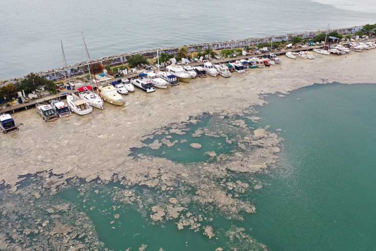 Συναγερμός στο Βόρειο Αιγαίο για τη βλέννη – Τι συμβαίνει στη θάλασσα του Μαρμαρά