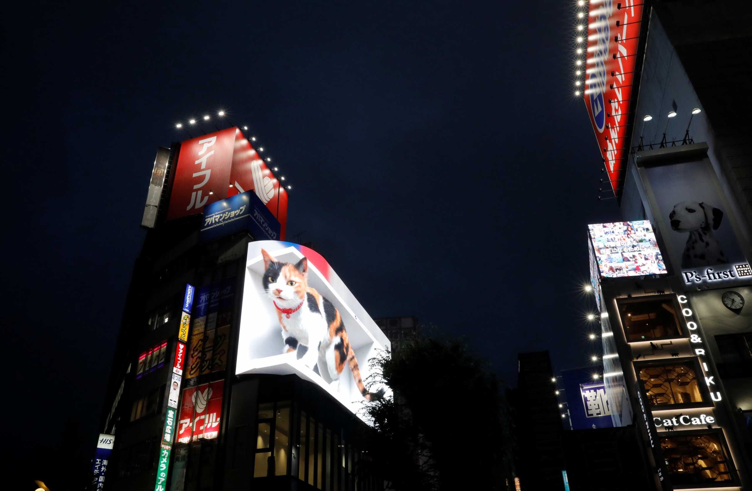 A billboard featuring a 3D cat in 4K resolution is pictured in Tokyo, Japan, July 8, 2021.   REUTERS