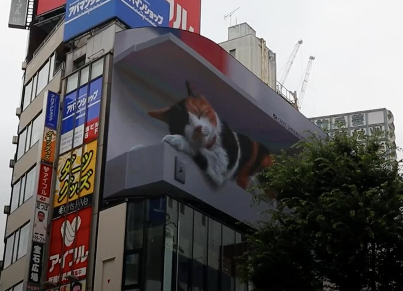 Η γιγάντια γάτα που… παρακολουθεί το Τόκυο