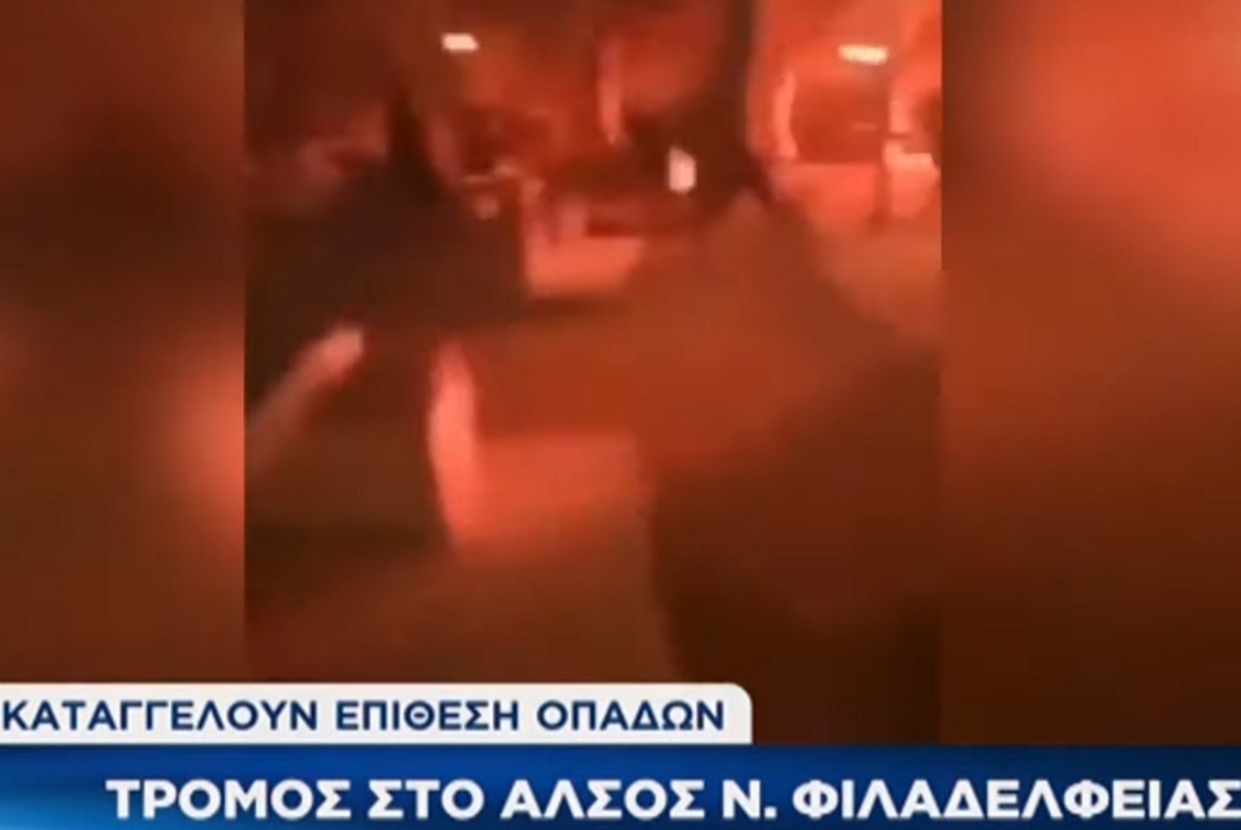 «Ντου» οπαδών στη Νέα Φιλαδέλφεια με τραυματίες – Χαμός στο άλσος